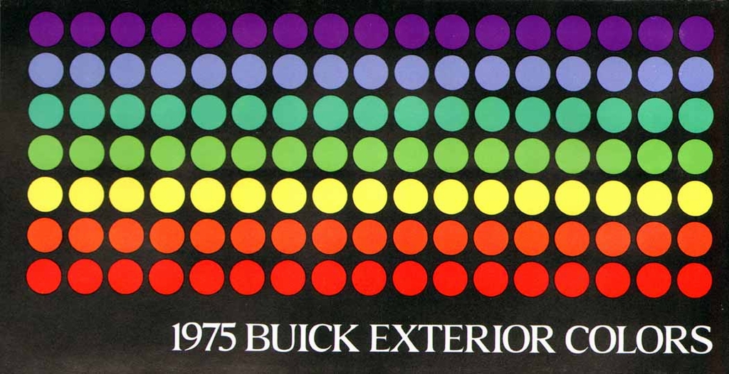 n_1975 Buick Colors-01.jpg